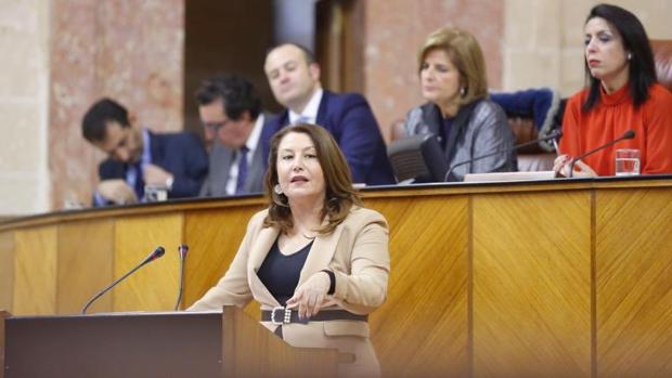 El PP, a la izquierda en el debate de investidura: «Dejen ya la Mezquita-Catedral de Córdoba»