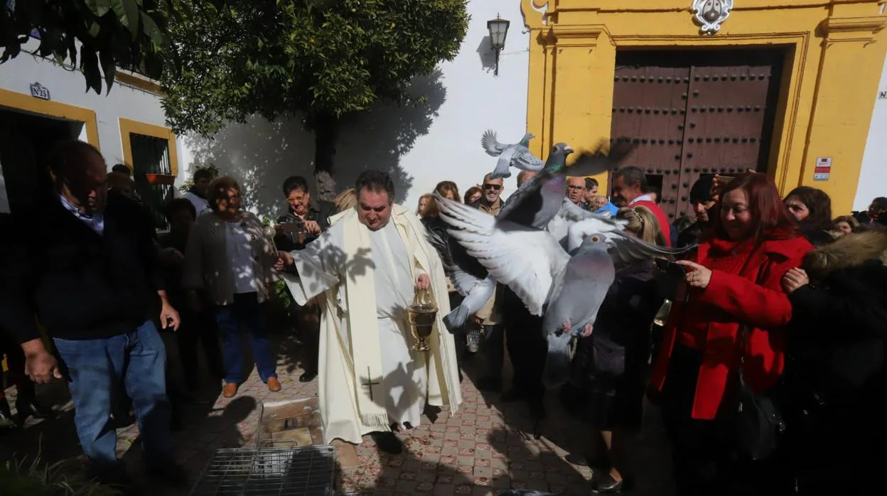 El párroco del Carmen, don Antonio bendice unas palomas en el día del patrón de los animales