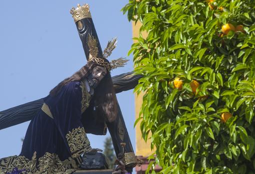 Nuestro Padre Jesús Caído porta una cruz arbórea en su salda procesional