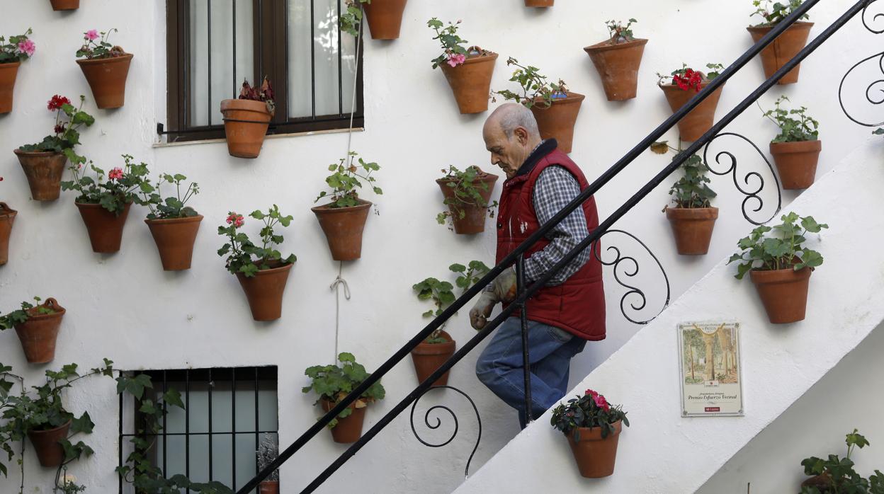 El dueño de un patio del Alcázar Viejo baja unas escaleras