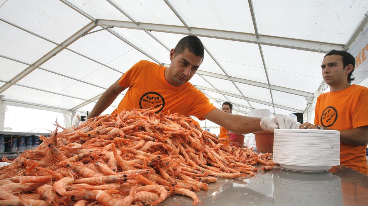 Comida en la Feria de la Gamba en Córdoba