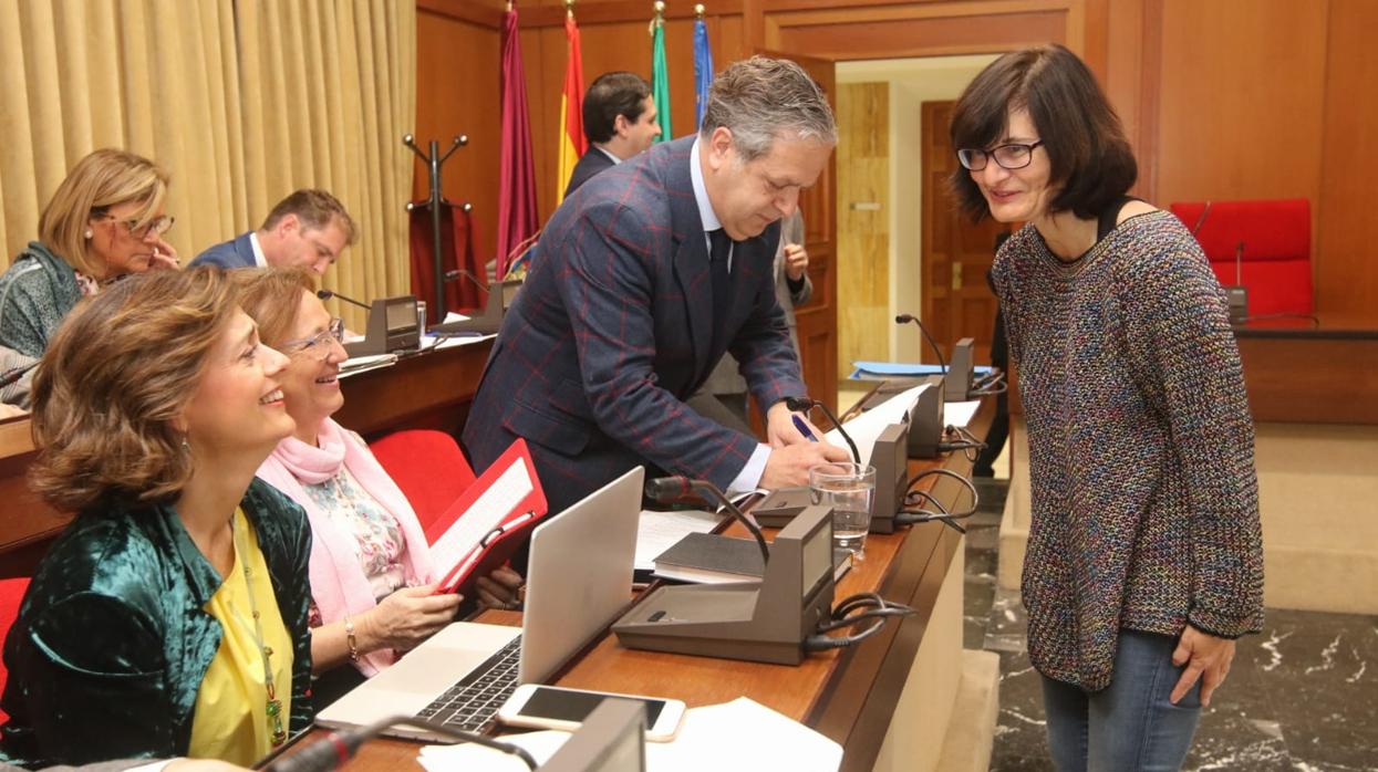 La edil de Infraestructuras, Amparo Pernichi (IU), dialoga hoy antes del Pleno con la bancada del PP