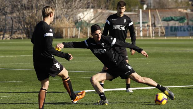 Previa Córdoba CF-Granada CF | Para confirmarse en la vía de la recuperación