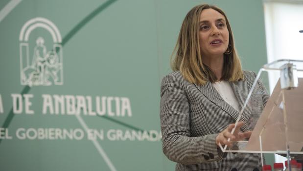 La Junta de Andalucía auditará la Alhambra de Granada