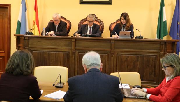 El Pleno de Lucena, ahora sí, aprueba el protocolo con el SAS para hacer el hospital