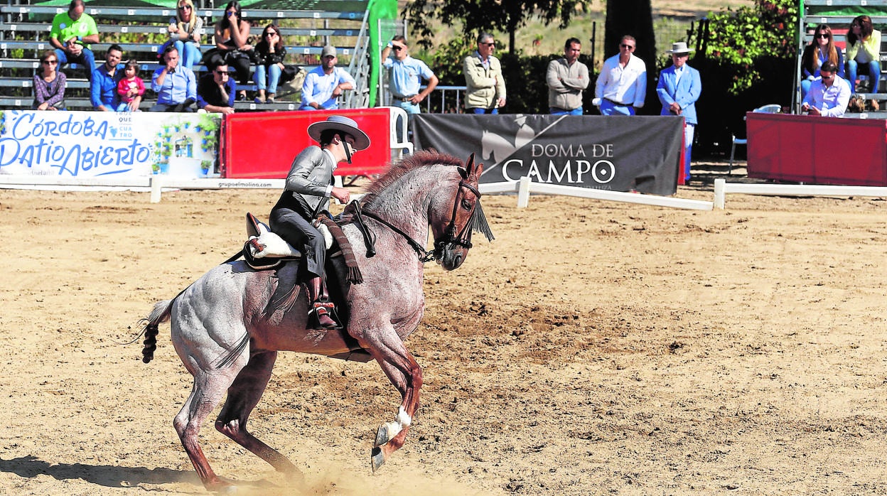 Imagen del Campeonato de España de 2016, organizado en la Hacienda la Albaida