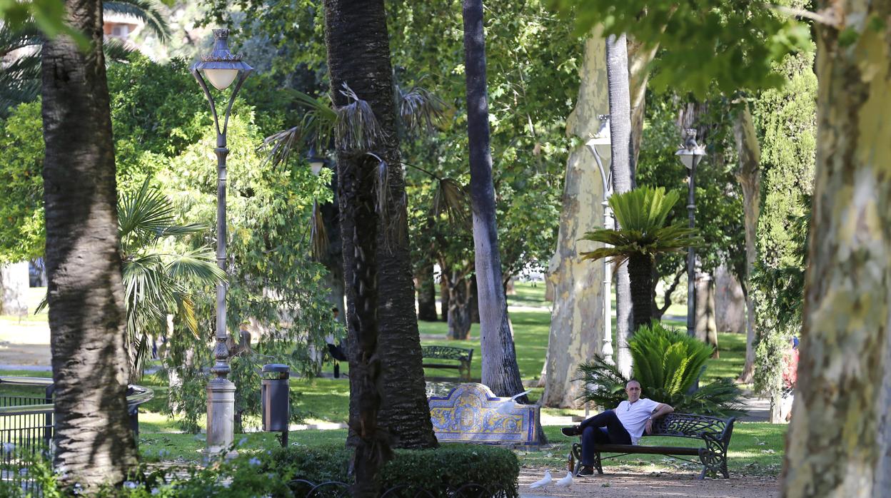 Un hombre descansa en los Jardines de Agricultura