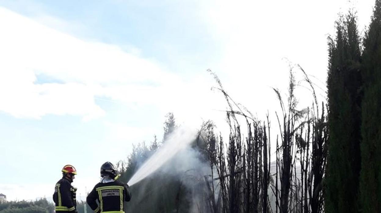 Dos bomberos sofocan el fuego en el parque Andrés de Vandelvira