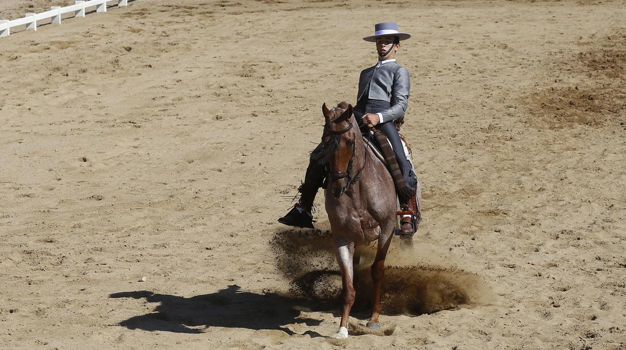 Un jinete en el Campeonato de España de Doma Vaquera, celebrado en Córdoba en 2016