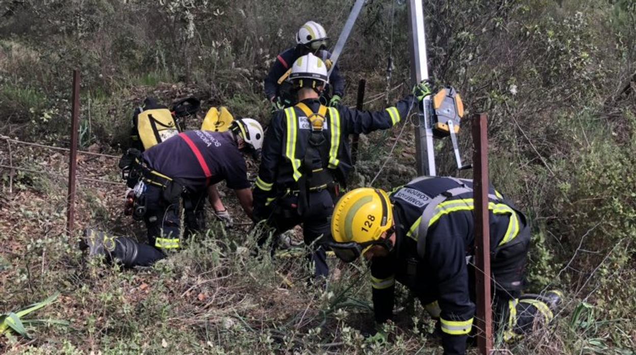 Operativo de los bomberos para rescatar al perro que había caído a un poco en el Arroyo Bejarano