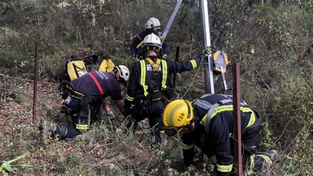 Los bomberos de Córdoba rescatan con vida a un perro que cayó a un pozo en el Arroyo Bejarano