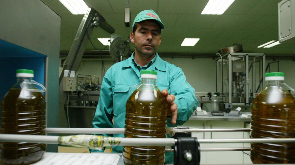 Planta de envasado de aceite de oliva de una fábrica de Córdoba