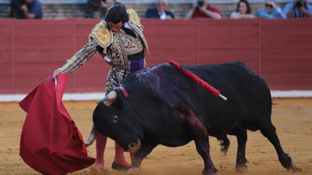 FIT Tauromaquia busca el mejor cartel para la Feria de Córdoba