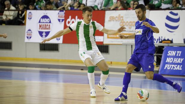 Plácida victoria del Córdoba CF Futsal ante el Dimurol Tenerife (8-1)