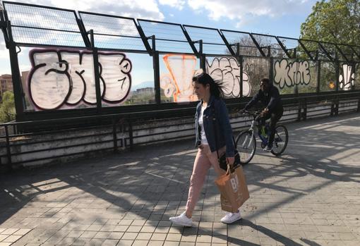 Las dos pantallas, a uno y otro lado de Camino de Ronda, están copadas por las pintadas vandálicas que ninguna admistración se encarga de limpiar.