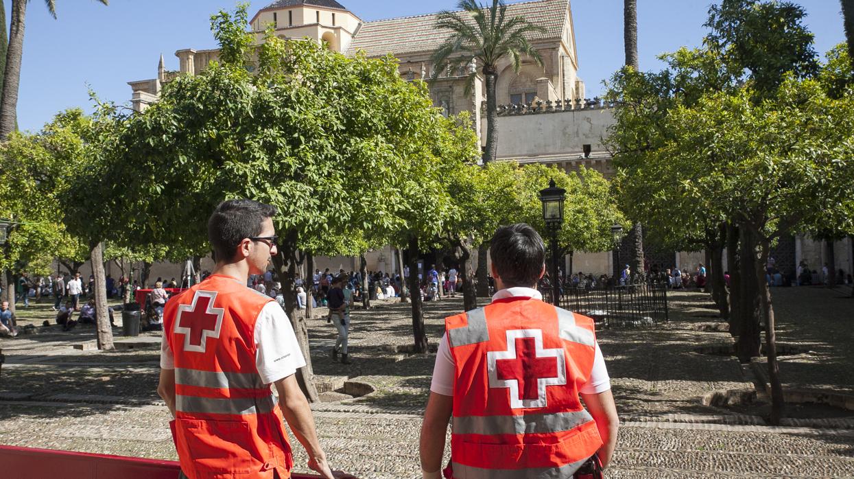 Voluntarios del dispositivo de Cruz Roja