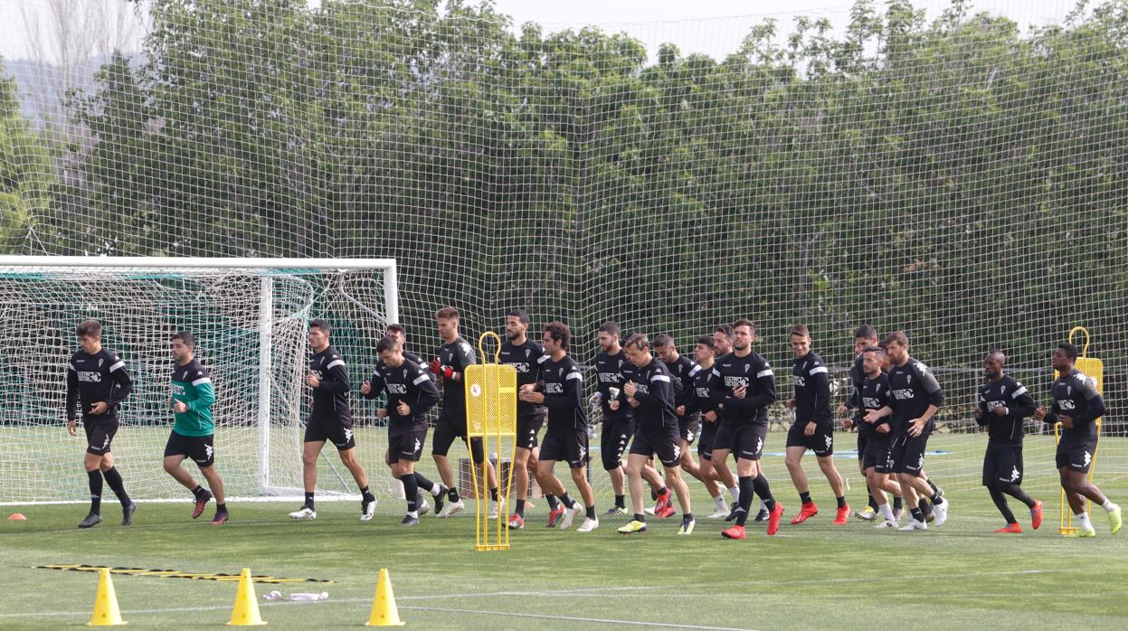 La plantilla del Córdoba CF trota durante el entrenamiento del miércoles