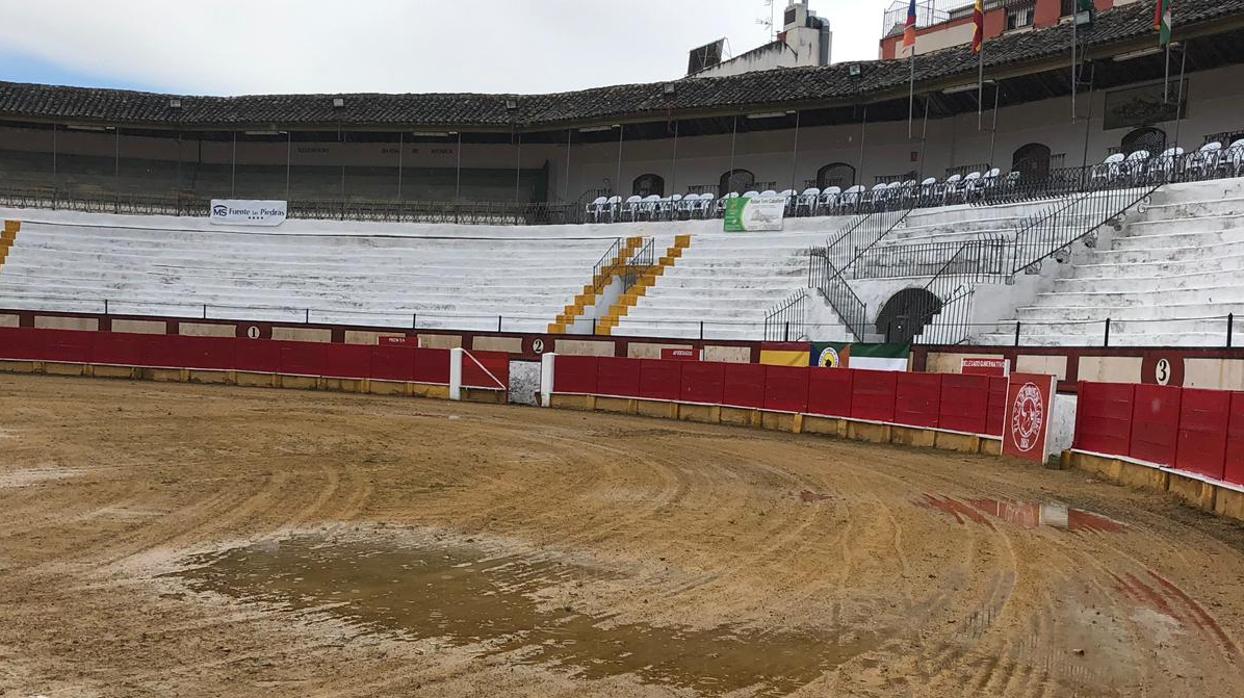 Estado del albero tras las últimas lluvias