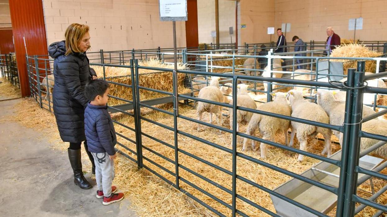 La feria ganadera de Pozoblanco constata el alza en las ventas de ganado