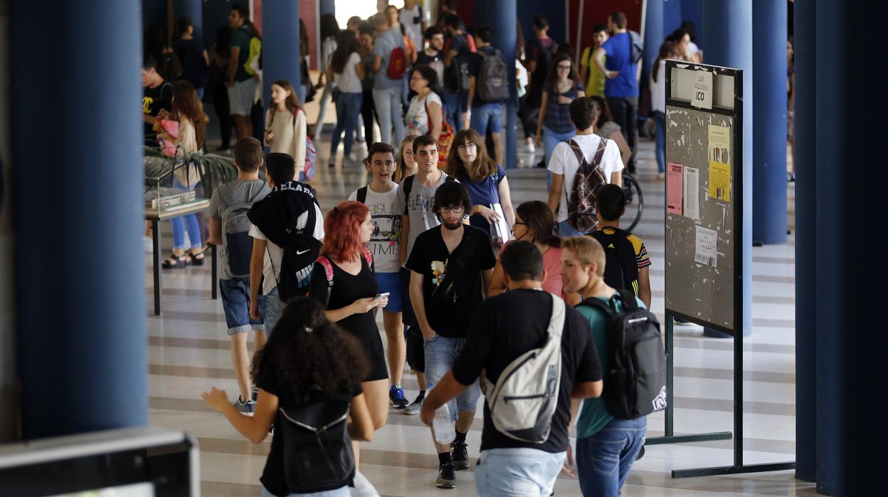 Estudiantes en el Campus de Rabanales de la Universidad de Córdoba