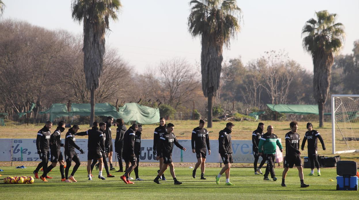Los jugadores del Córdoba durante un entrenamiento de esta temporada
