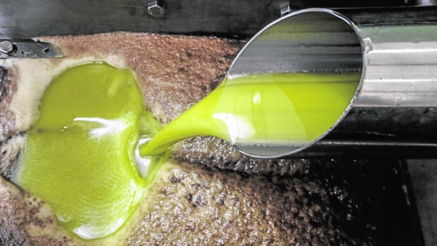 Las exportaciones de aceite de oliva de Córdoba cayeron un 13% por su elevado precio