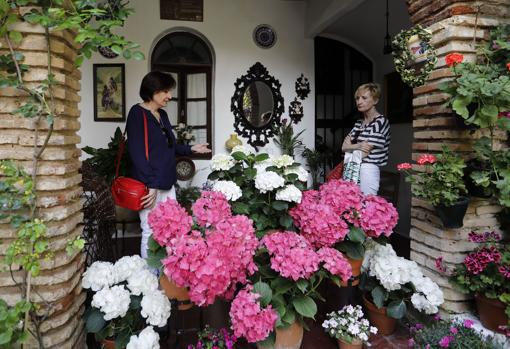 Todo lo que necesitas saber sobre los Patios de Córdoba 2019