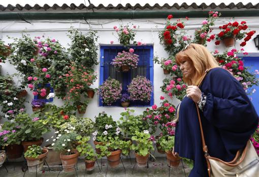 Patios de Córdoba 2019 | Marroquíes, 6, la pequeña aldea que resume la fiesta de los sentidos