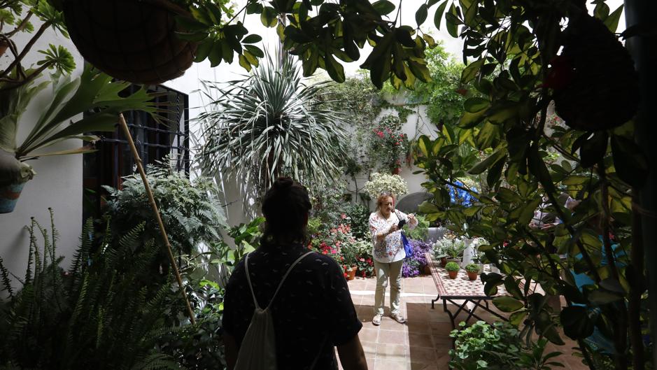 Patios de Córdoba | San Lorenzo, donde las torres y la cal no desafían al cielo azul