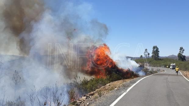 Declarados dos incendios en Huelva en un paraje de Berrocal y en una finca a las puertas de Doñana