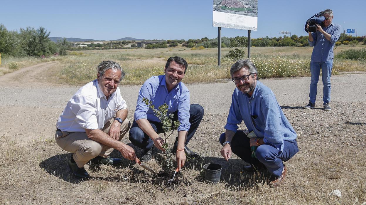 Fuentes, Bellido y Torrico plantan una encina en el Parque de Levante