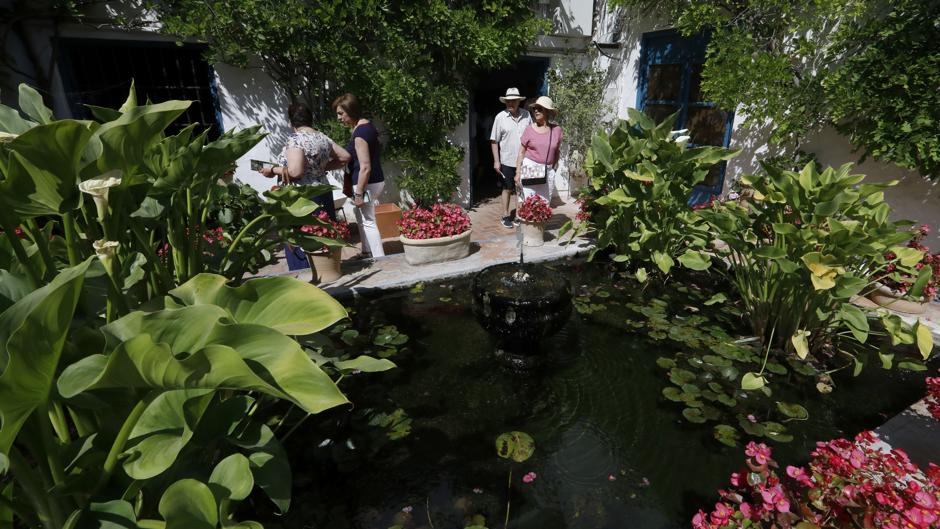 Patios de Córdoba 2019 | Viana, el magisterio de la flor y la arquitectura