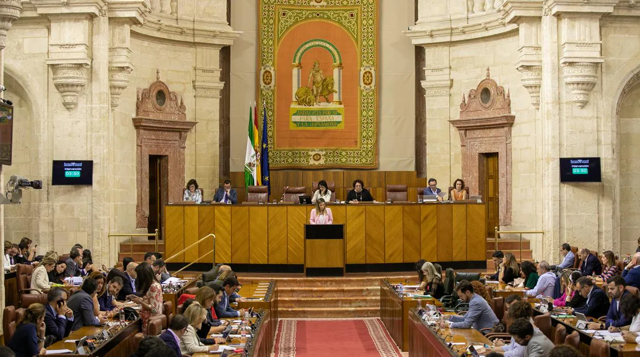 Imagen del pleno del Parlamento celebrado el miércoles 29 de mayo