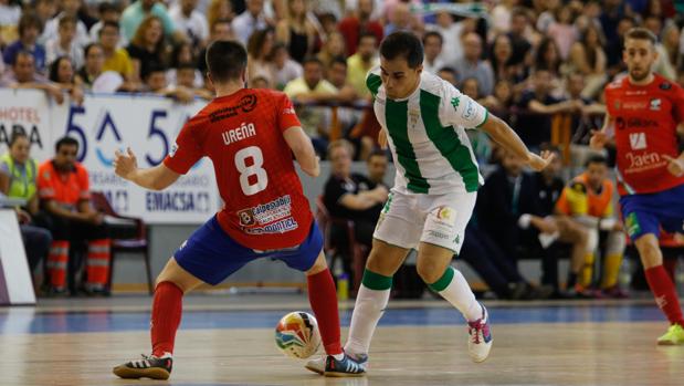 La primera oportunidad del Córdoba Futsal para ascender y hacer historia en Mengíbar