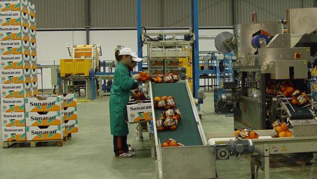 Sunaran se incorpora a Unica Group para mejorar su volumen de ventas