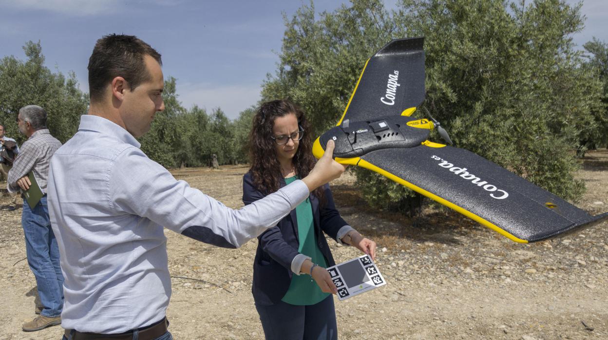 Un dron empleado en labores agrícolas en Andalucía