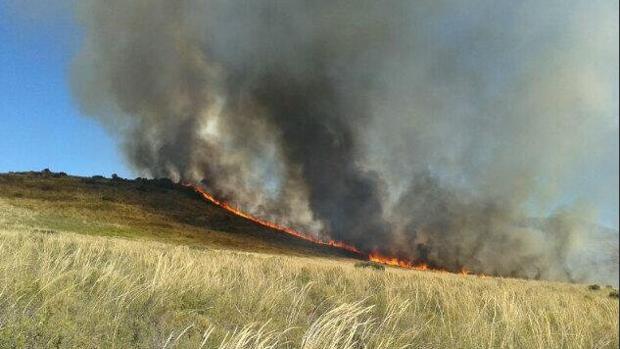 Declarado un incendio forestal en el municipio granadino de Arenas del Rey