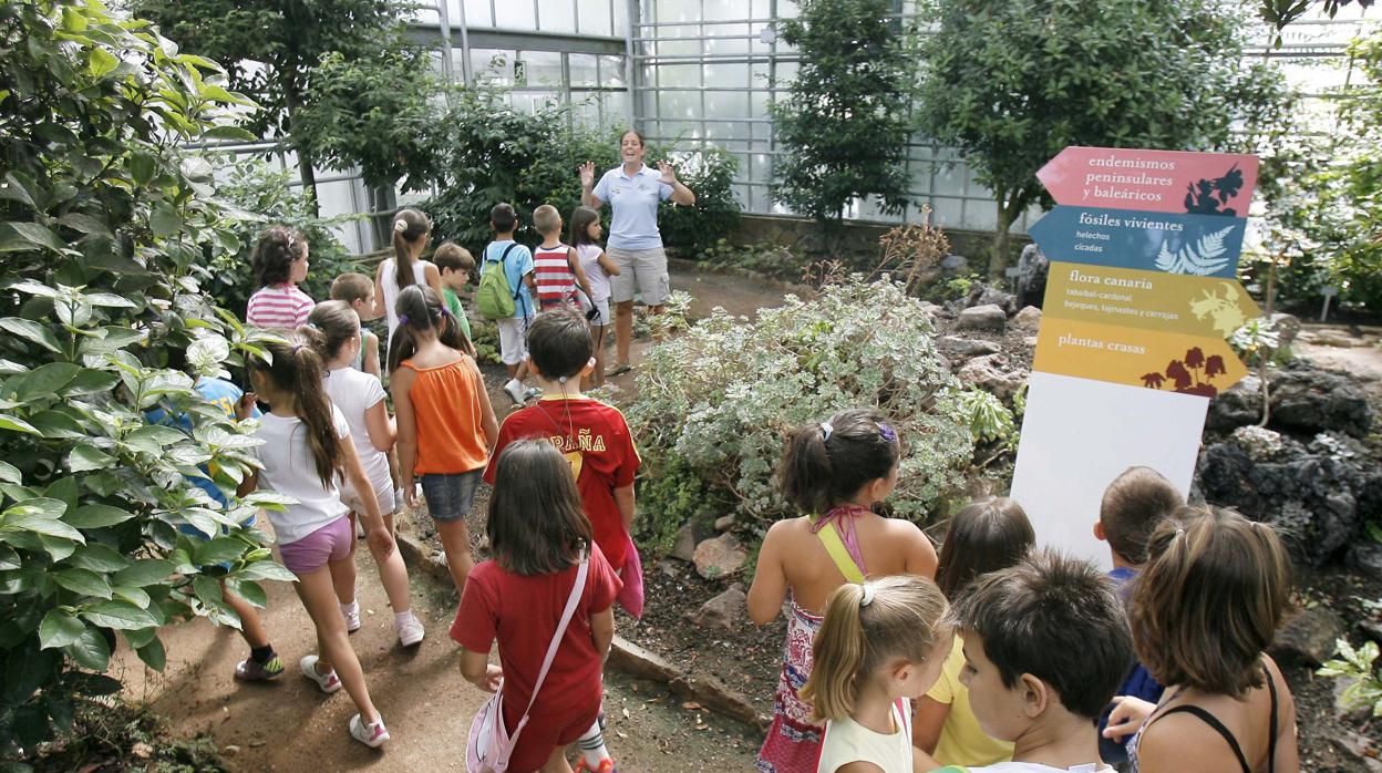 Niños en una actividad de la Escuela de Verano Municipal en el Jardín Botánico