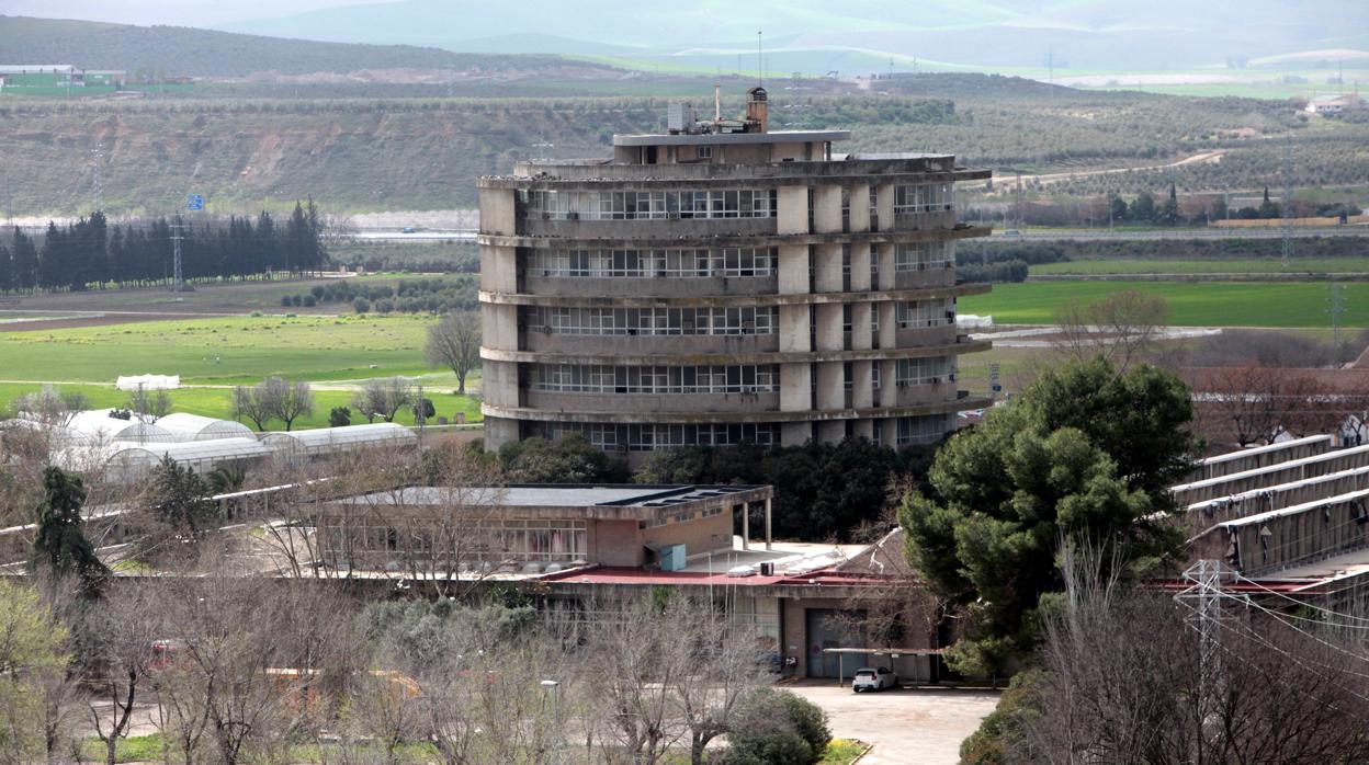 Imagen de la Torre de Agrónomos de la Universidad de Córdoba