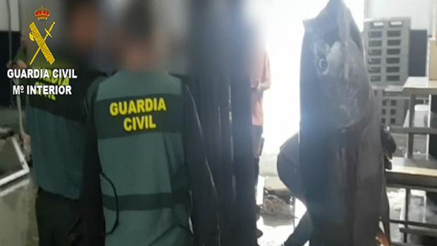 Nueve detenidos en Almería por pesca furtiva de atún rojo