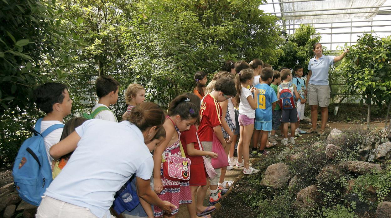 Una actividad de las Escuelas de Verano en el Jardín Botánico