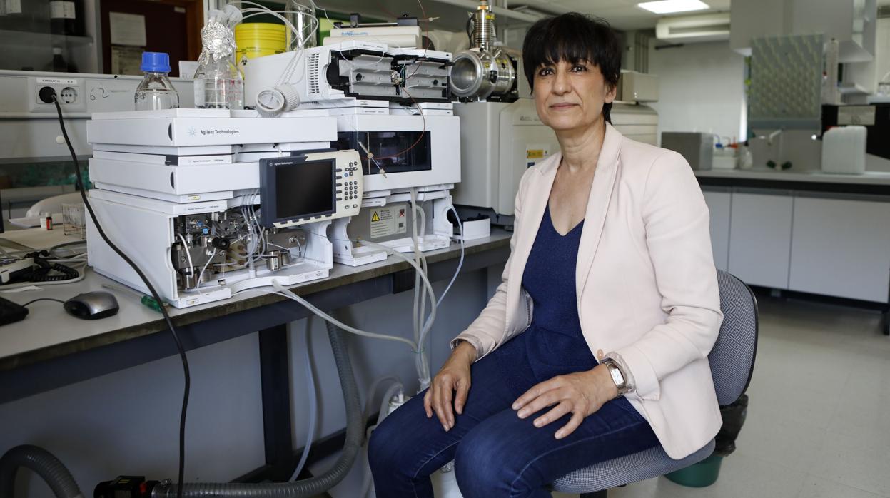 Soledad Rubio, catedrática de Química Analítica, en las instalaciones del campus de Rabanales de la UCO