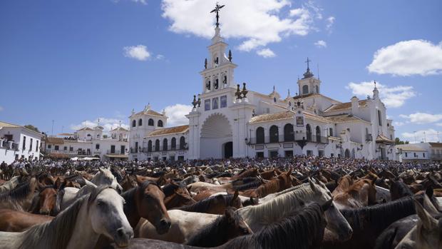 Multitudinaria bendición de las yeguas en el Santuario del Rocío