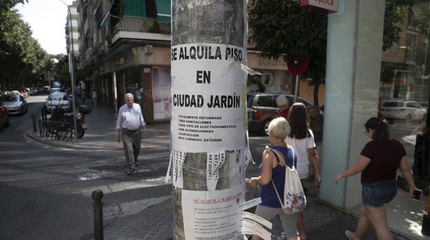 Alquilar un piso en Córdoba tiene un coste medio de 568 euros y el Centro es la zona más cara