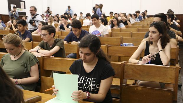 Medicina, Enfermería y Educación Primaria, las carreras más demandadas de Andalucía