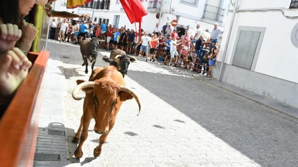 Encierro en El Viso