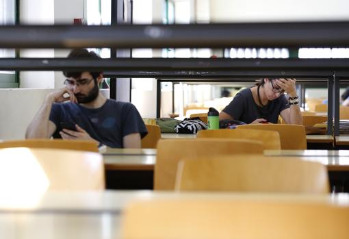 Estudiantes en la biblioteca del Campus Rabanales