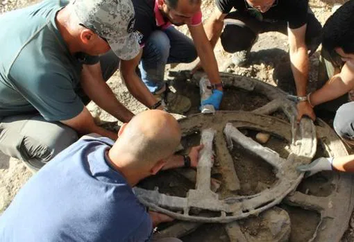 Los arqueológios extraen una rueda del carro íbero hallado en Montemayor