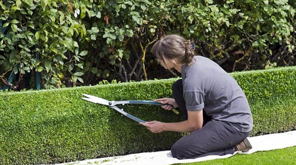 Una de las vacantes es de peón jardinero