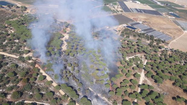 Estabilizados los dos incendios forestales de Lucena del Puerto de Huelva